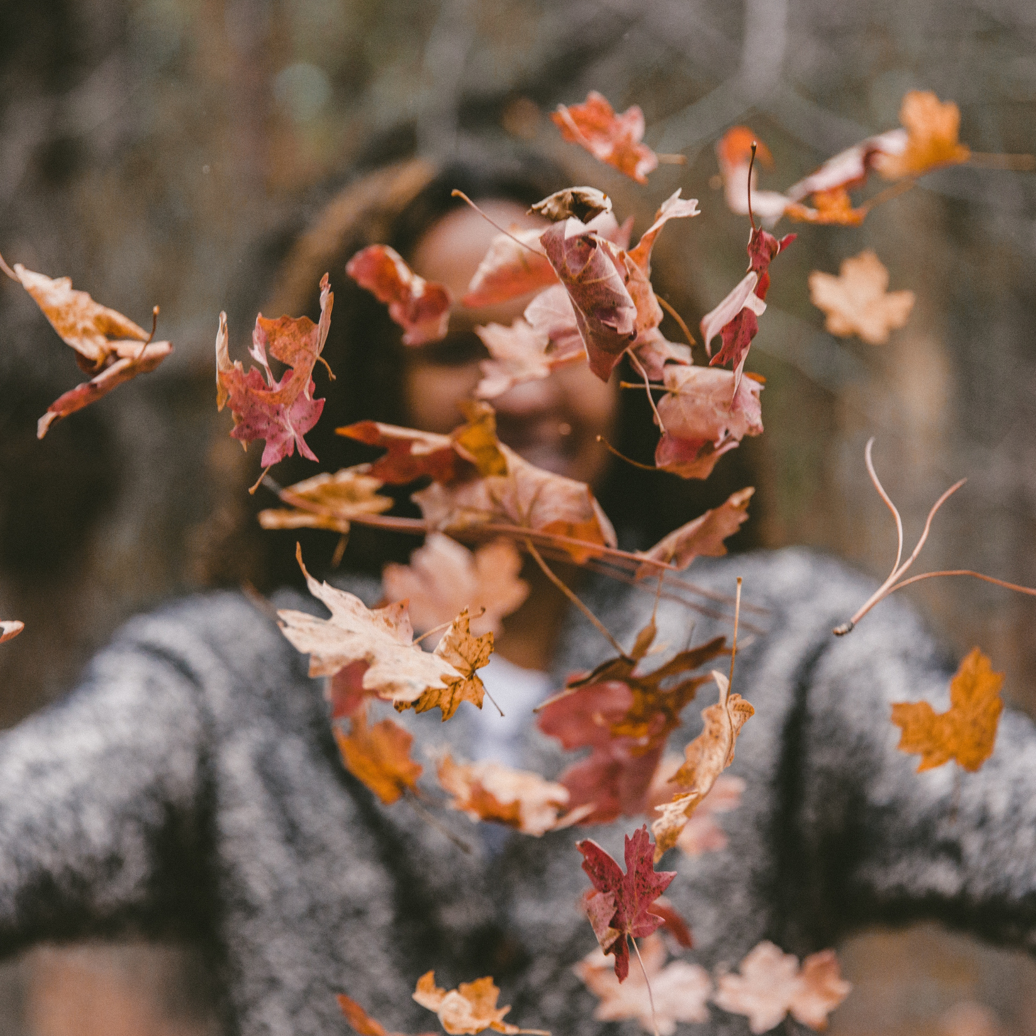 Vrouw in grijze trui gooit herfstbladeren in de lucht