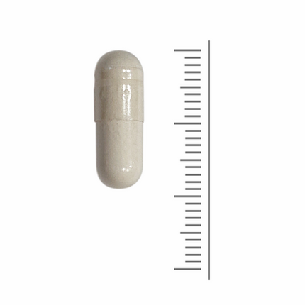 Resveratrol capsule naast een maatreferentie voor een indicatie van het capsuleformaat
