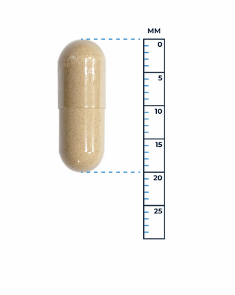 Vegetarische capsule van Maca 500 mg