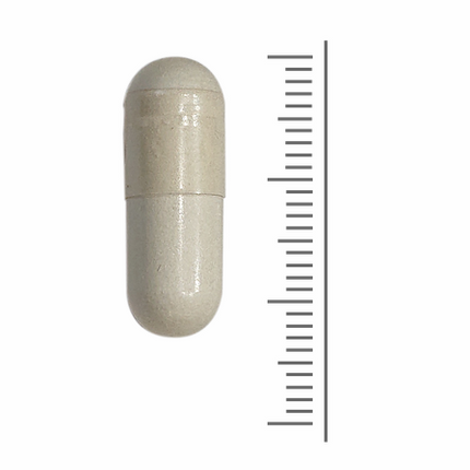 Losse vegetarische L-Tyrosine capsule