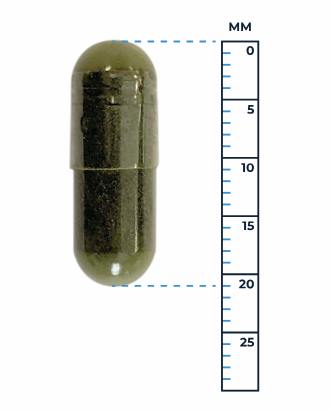 Chlorella & spirulina capsule naast een liniaal als indicatie van het formaat