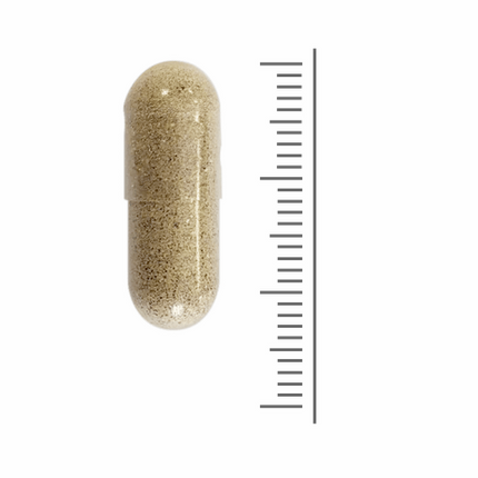 Capsule van Multi 1 per dag / Zwanger naast een maatverdeling